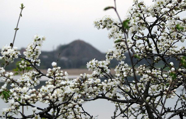 Витаха Сусаев