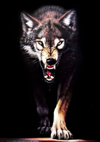 Вячеслав Wolf