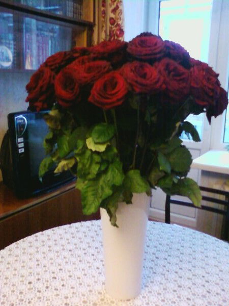 Марина Нестерихина