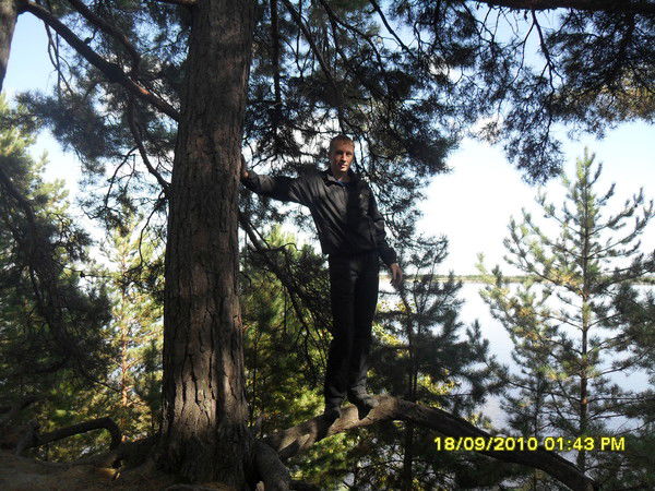 Андрей Комаров