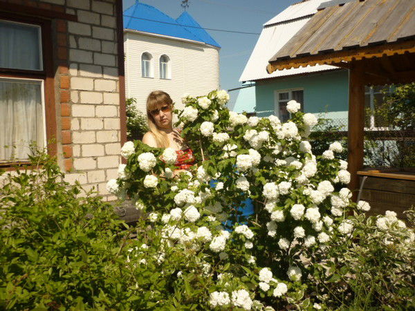 Вера Шулякова