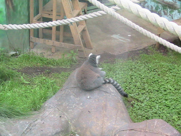 Наталья Барышникова