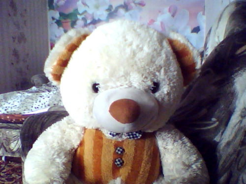 Евгений Медведев