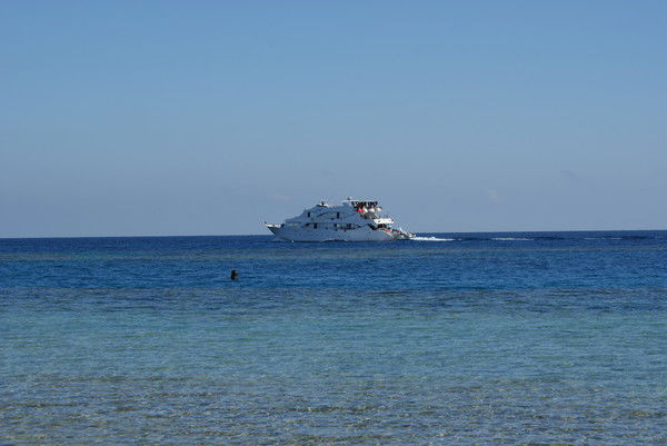 Елена Бабенкова