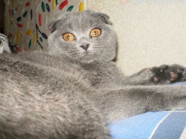 Сергей Минашкин