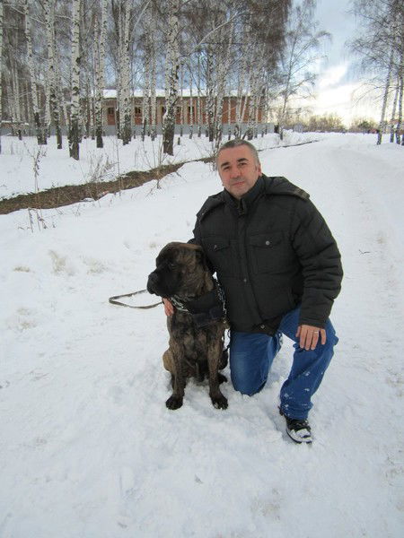 Андрей Волков