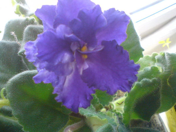 Наиля Зайнуллина