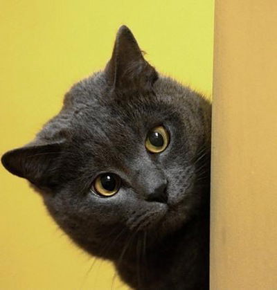 Люда Афанасьева