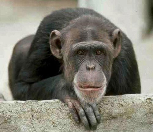 Виктор Егоров