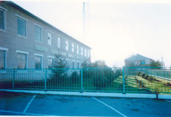 Татьяна Арсенкина