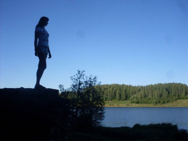 Бабочка Caliostro