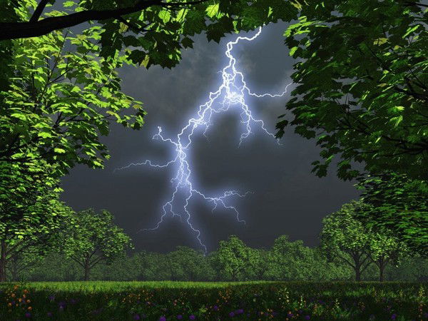 Ольга Уласевич