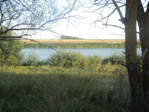 Марина Боева