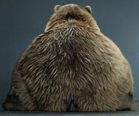 Екатерина Яцун