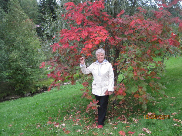 Раиса Сургаева(Третьякова)