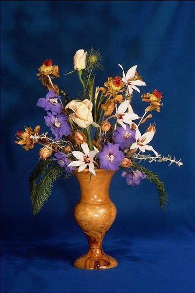 Анна Сопрун ( Сологубова)