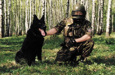 Вангог Вангог