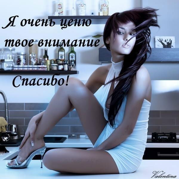 Айжан Дилдабекова