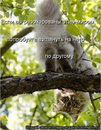 Аида Женишбекова