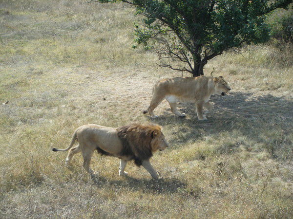 Наталья Игнатьева