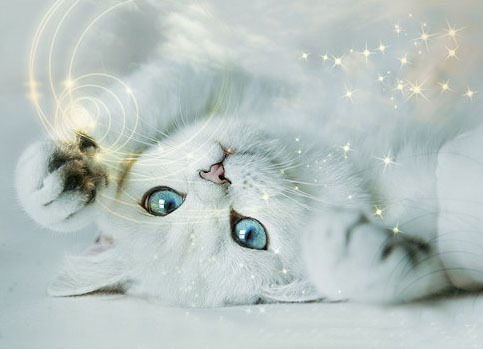 Елена Батракова