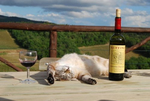 Екатерина Хорошева