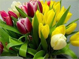 Гульназ Аманбаева