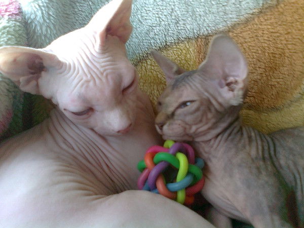 !евгения! "евгения"