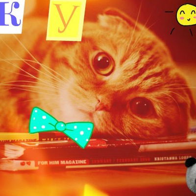 Костя Кончиков