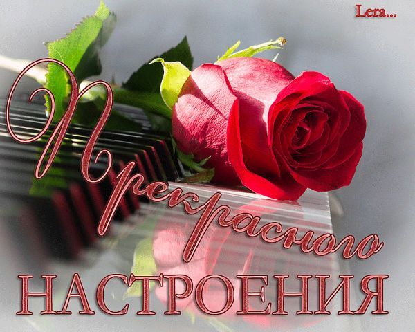 Людмила Евдокимова