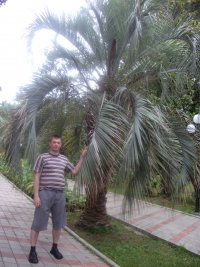 Дмитрий Прондяев