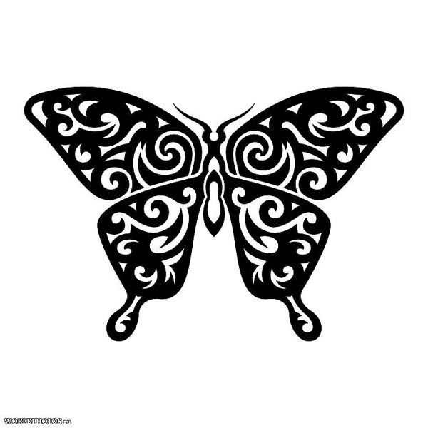 Алла Елисеева