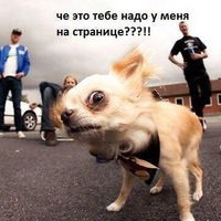 Ли Александр