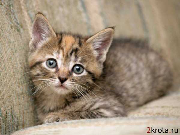 Лилия Галиуллина