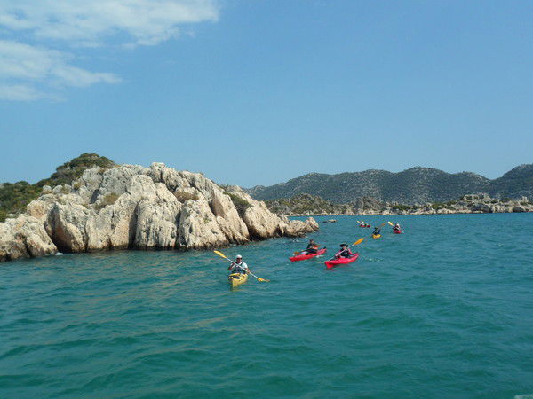 Елена Домина