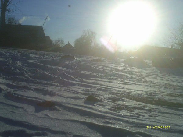 По Жизни Оптимист