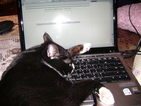 Елена Виноградцева