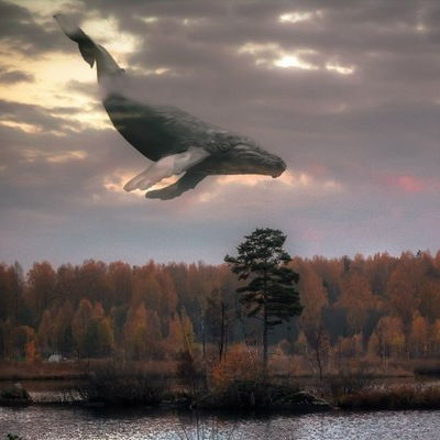 Александр Малахов