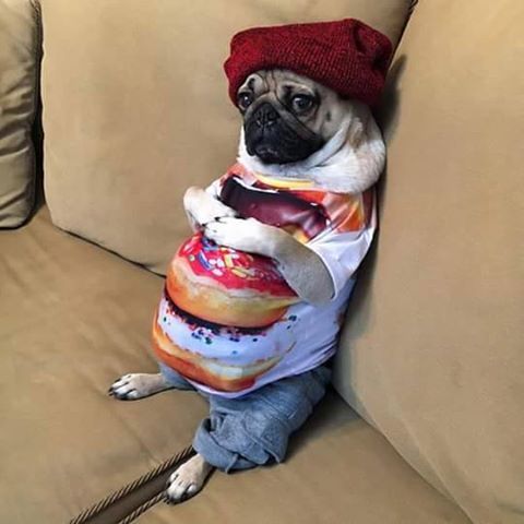 Евгения Евгения