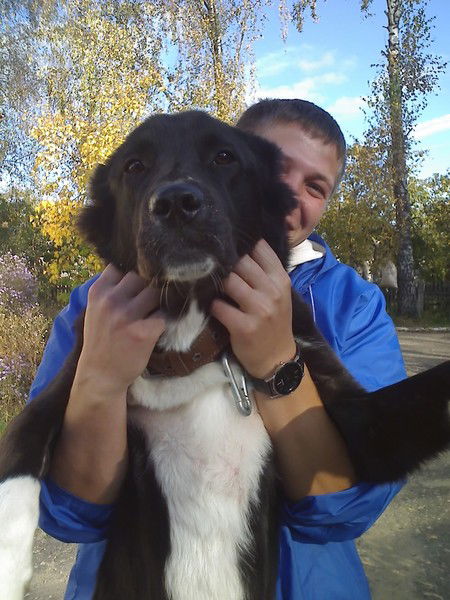 Михаил Шульга