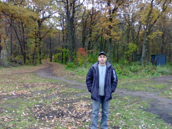 Дмитрий Рогожников