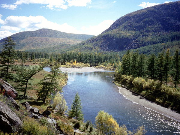 Валерий Цой