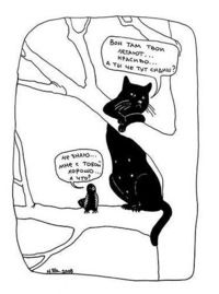 Денис Денис