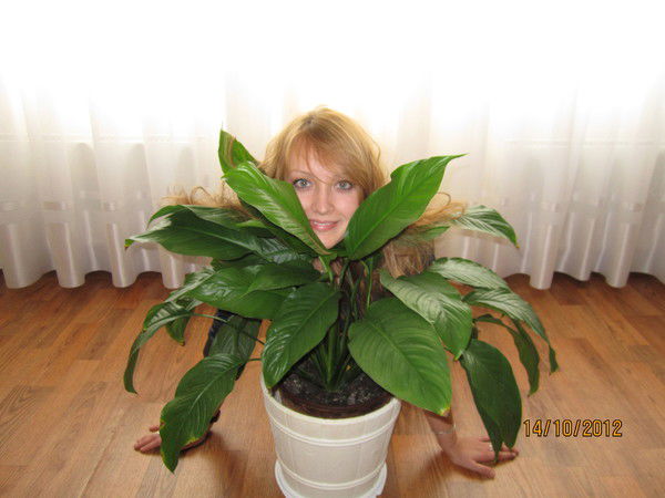 Елена Семёнова