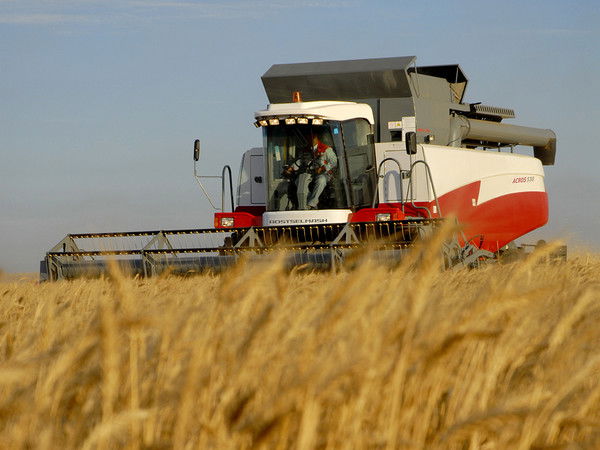 Алексей Павлович Романов