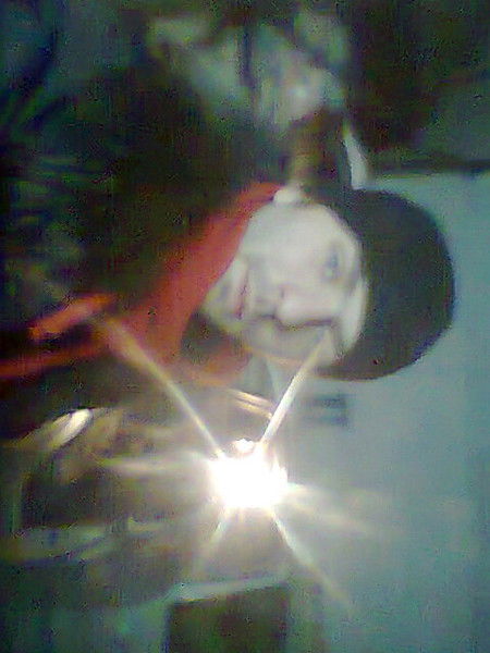 Александр Олейников