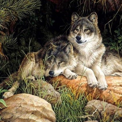 Нина Мироненко -Мостипанова