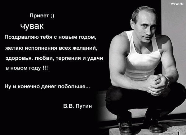 Володя! Путин!