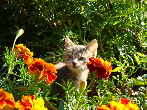 Наталья Григорьевна