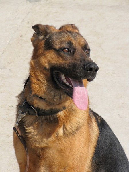 Влад Фоменко